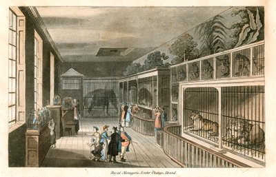 Royal Menagerie, Exeter Change, Strand (farget gravering) av English School