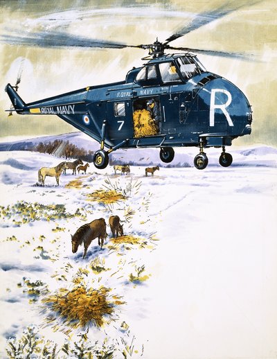 Royal Navy helikopter brukt til redning av dyr av English School
