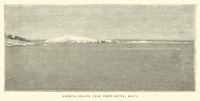 Salmona Island, nær Point Koura, Malta av English School