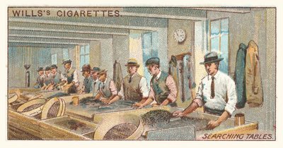 Søk i tabeller (chromolitho) av English School