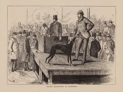 Selger greyhounds hos Aldridge#39;s (gravering) av English School
