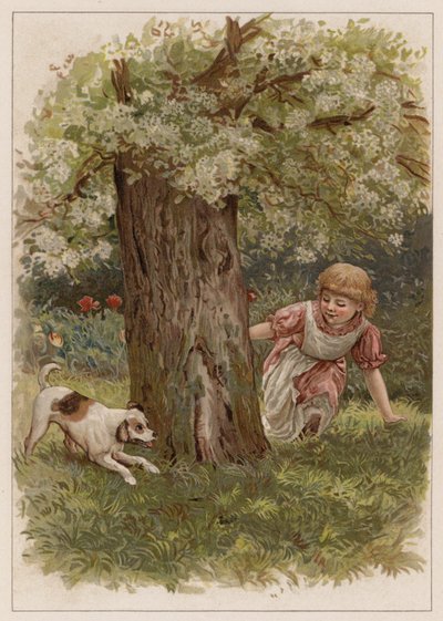 Shappy (kromolitho) av English School