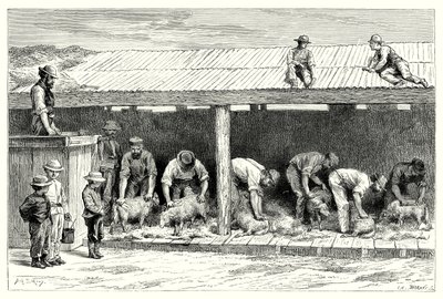 Saueklipping (gravering) av English School