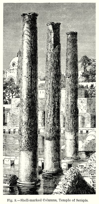 Mit Muscheln markierte Säulen, Tempel von Serapis (Gravur) von English School