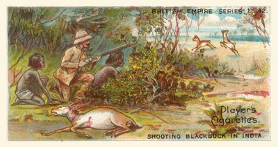 Skyting av svartbukk i India (chromolitho) av English School