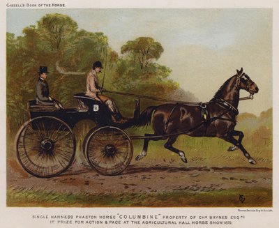 Enkeltsele Phaeton Horse "Columbine", eiendom til Charles Baynes Esq av English School