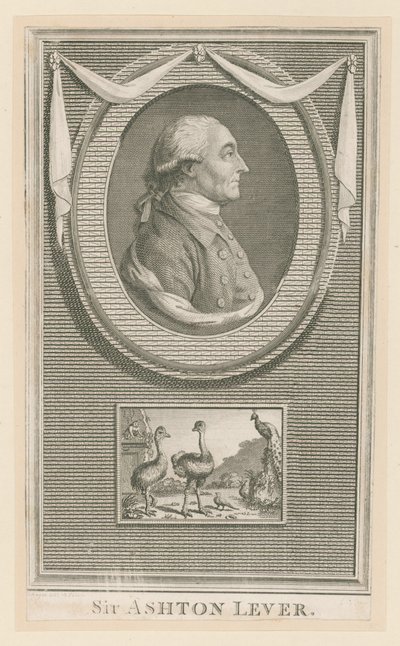 Sir Ashton Lever av English School