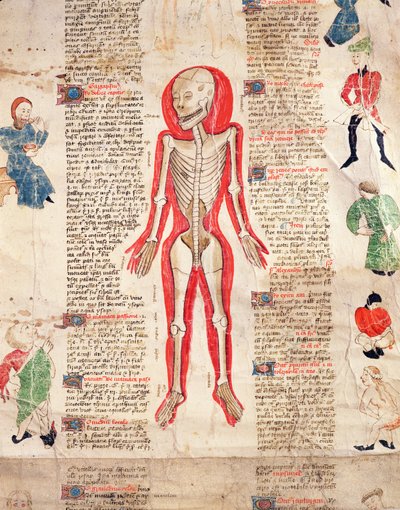 Skjelett, fra De arte phisicali e de cirugia av John Ardene, 1412 av English School
