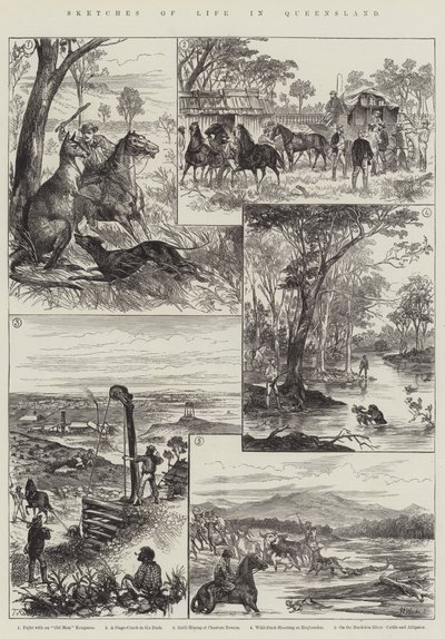 Sketches of Life in Queensland (gravering) av English School