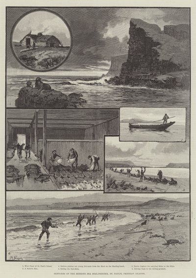 Skisser av selfiske i Beringhavet, St Paul