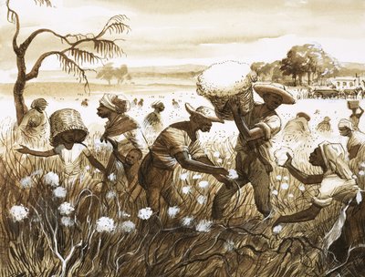 Slaver plukker bomull av English School