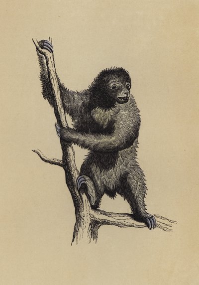 Dovendyr (farge litho) av English School