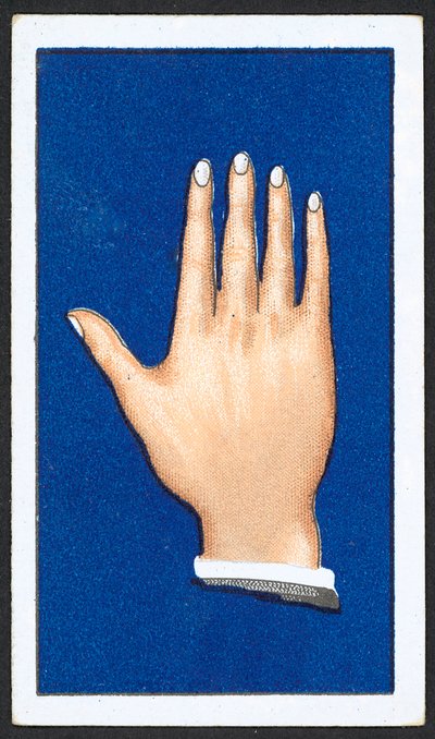 Glatte, spisse fingerhender (farge litho) av English School