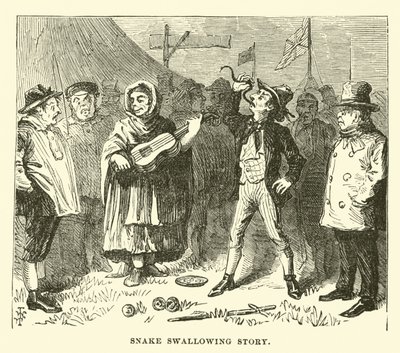 Slangesvelgehistorie av English School
