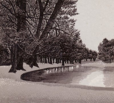Sophia Gardens, Cardiff (litho) av English School
