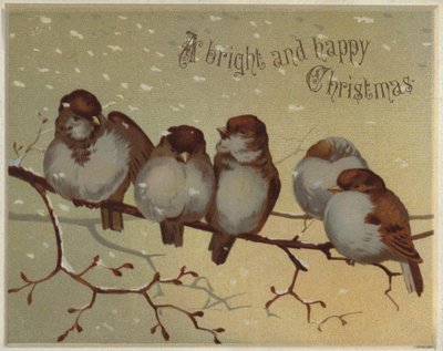 Spurver som sitter på en gren i snøen (chromolitho) av English School