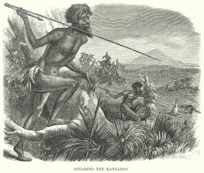 Spyding the Kangaroo (gravering) av English School