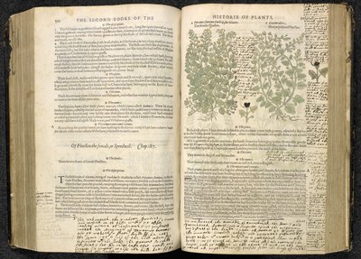 Speedwell, side 500-501 fra 