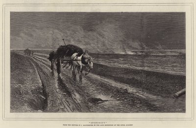 Spindrift (gravering) av English School