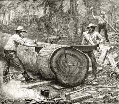 Splitters in the Bush, ca. 1880, fra 
