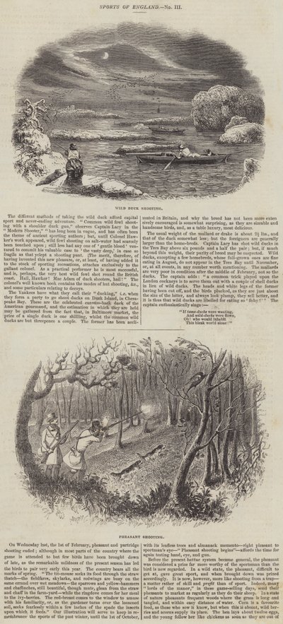 Sportarten in England (Stich) von English School