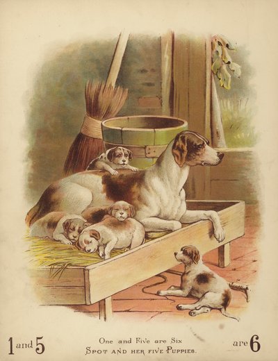 Spot og hennes fem valper (chromolitho) av English School