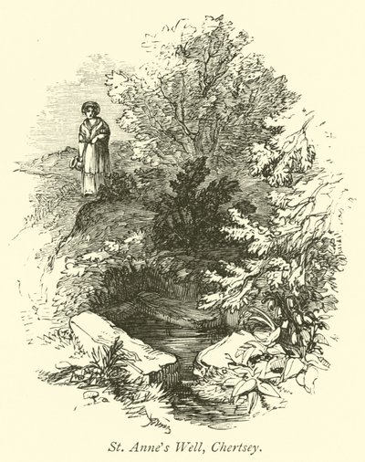 St Annes Vel, Chertsey av English School