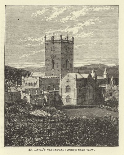 St Davids Cathedral, North-East View av English School
