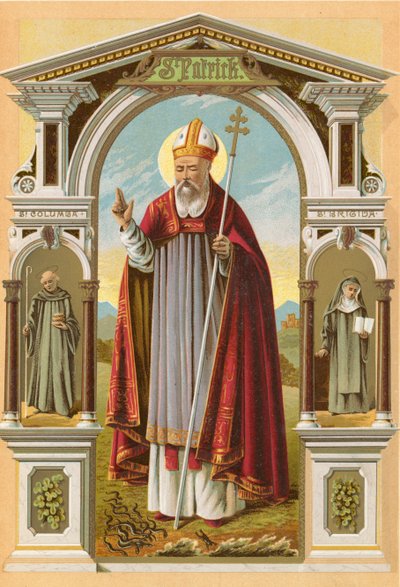 St Patrick av English School