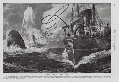 Dampbåt brukt som hvalfangstskip (gravering) av English School