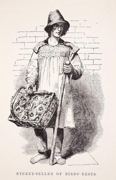 Gateselger av fuglereir, illustrasjon fra London Labor og London Poor av Henry Mayhew, pub. 1862 av English School