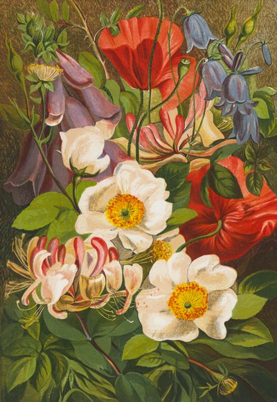 Sommerblomster (fargelitografi) av English School