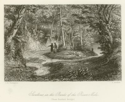Svaler i bredden av elven Mole, nær Burford Bridge (gravering) av English School