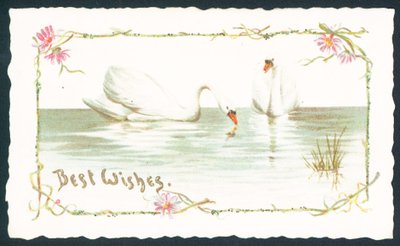 Swans on Lake, julekort av English School