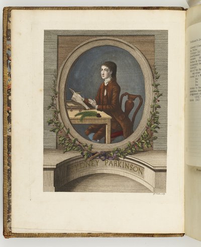 Sydney Parkinson, illustrasjon fra 