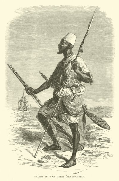 Talibe i krigsdrakt, Senegambia av English School