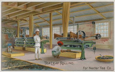 Tea Leaf Rolling, For Nectar Tea Co, handelskort av English School