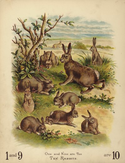 Ti kaniner (chromolitho) av English School