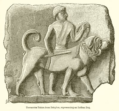 Terracotta-nettbrett fra Babylon, som representerer en indisk hund av English School