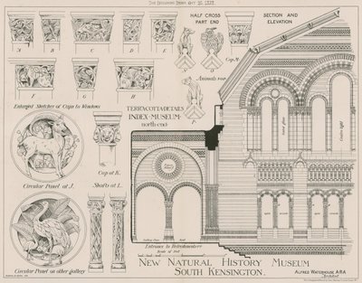 Terrakottadetaljer fra det nye Natural History Museum, South Kensington av English School