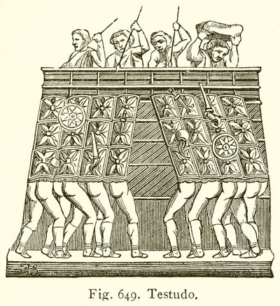 Testudo von English School