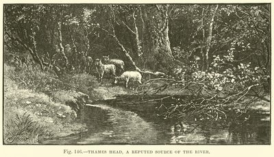 Thames Head, eine angebliche Quelle des Flusses von English School