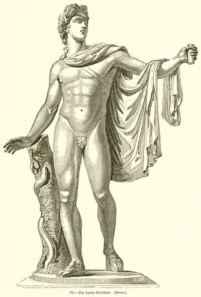 Apollo Belvidere. (Roma) av English School