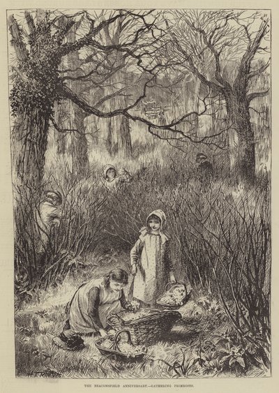 Beaconsfield-jubileet, samler Primroses (gravering) av English School