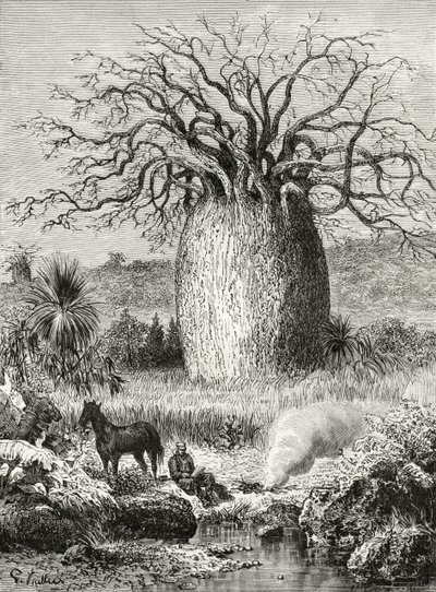 The Bottle Tree, fra 