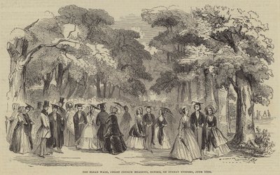 The Broad Walk, Christ Church Meadows, Oxford, søndag kveld av English School