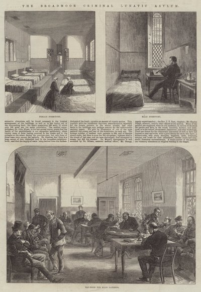 The Broadmoor Criminal Lunatic Asylum (gravering) av English School