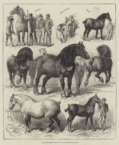 Cart-Horse Show i Agricultural Hall (gravering) av English School