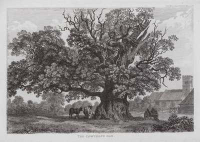 The Cowthope Oak (gravering) av English School