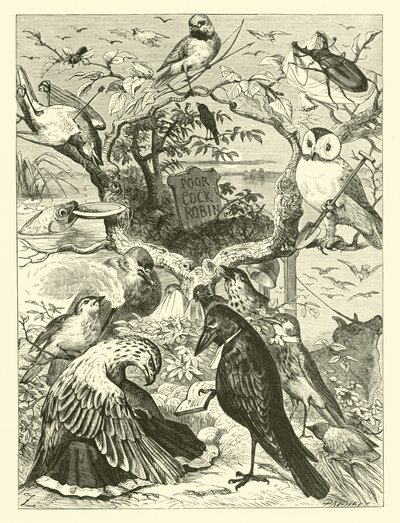 Cock Robins død og begravelse av English School
